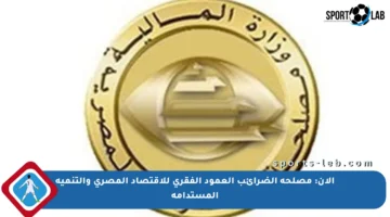 الآن: مصلحة الضرائب العمود الفقري للاقتصاد المصري والتنمية المستدامة